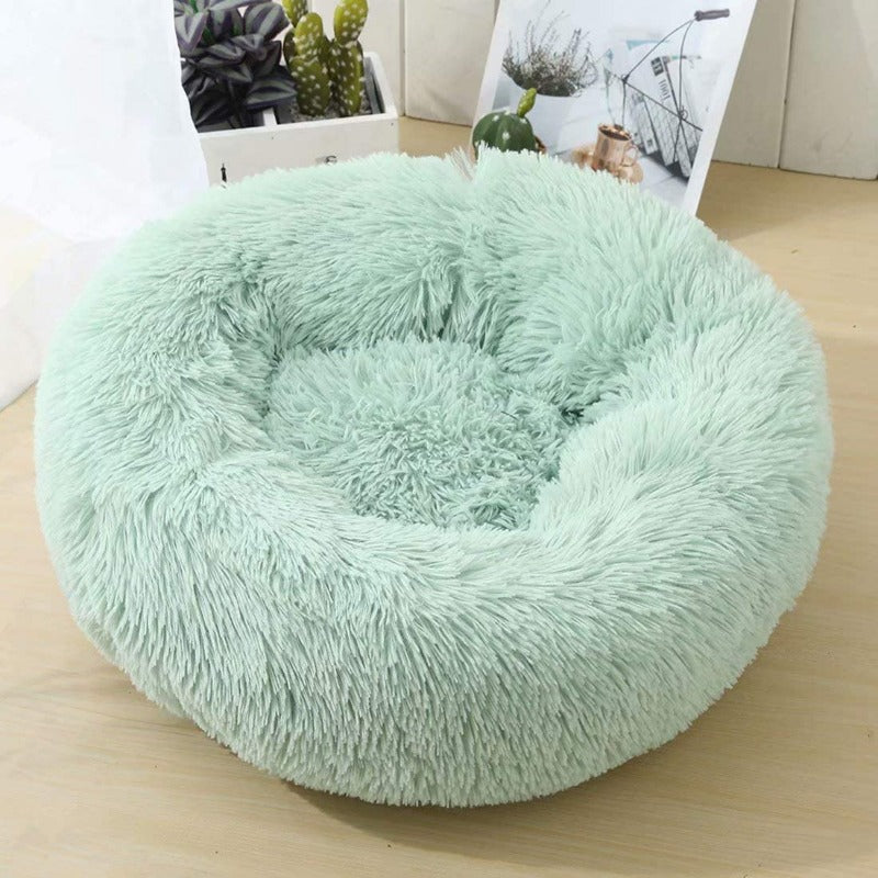 Hund entspannt im beruhigenden Plüsch Donut Hundebett, sichtlich wohl und zufrieden.
