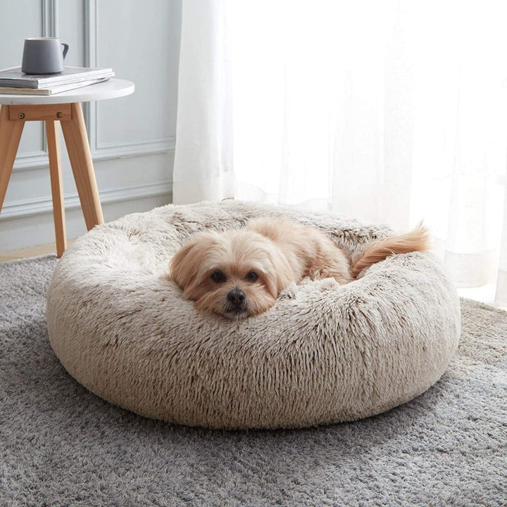 Welpe kuschelt sich ins kleine Plüsch Donut Hundebett, perfekt für junge Hunde.