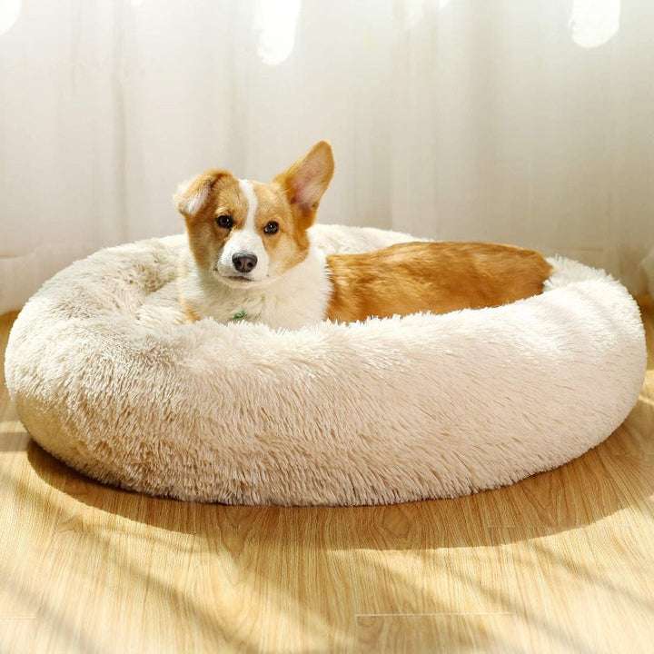 Älterer Hund genießt das unterstützende Donut Haustierbett aus Plüsch.