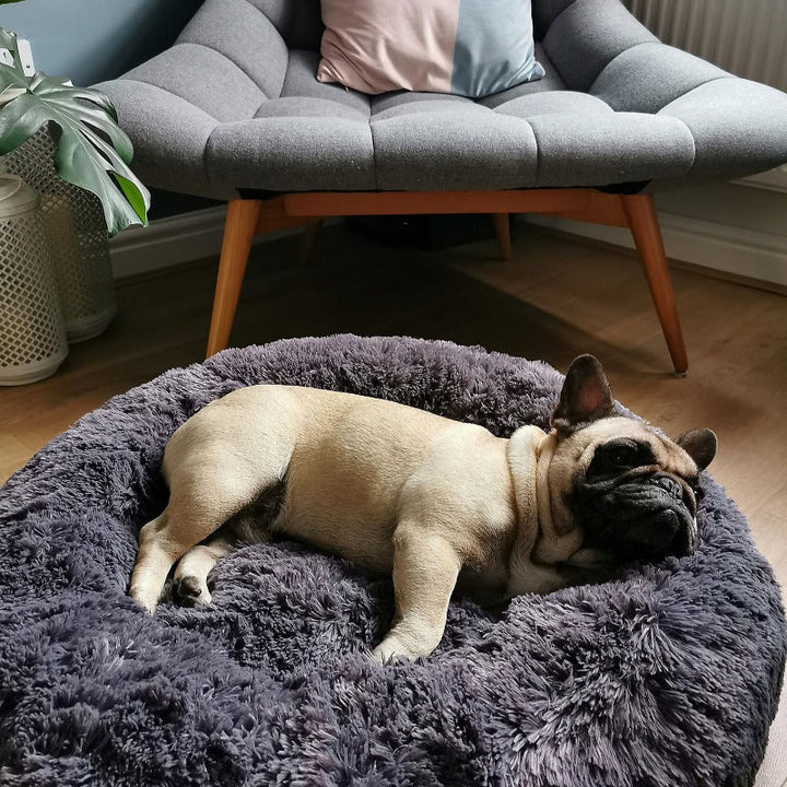 Verspielter Kater ruht sich aus im gemütlichen Plüsch Donut Katzenbett.