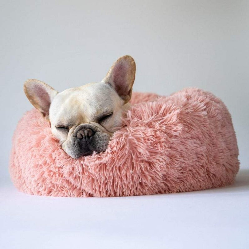 Nahaufnahme: Flauschiges Material des Donut Hundebetts, einladend & weich.
