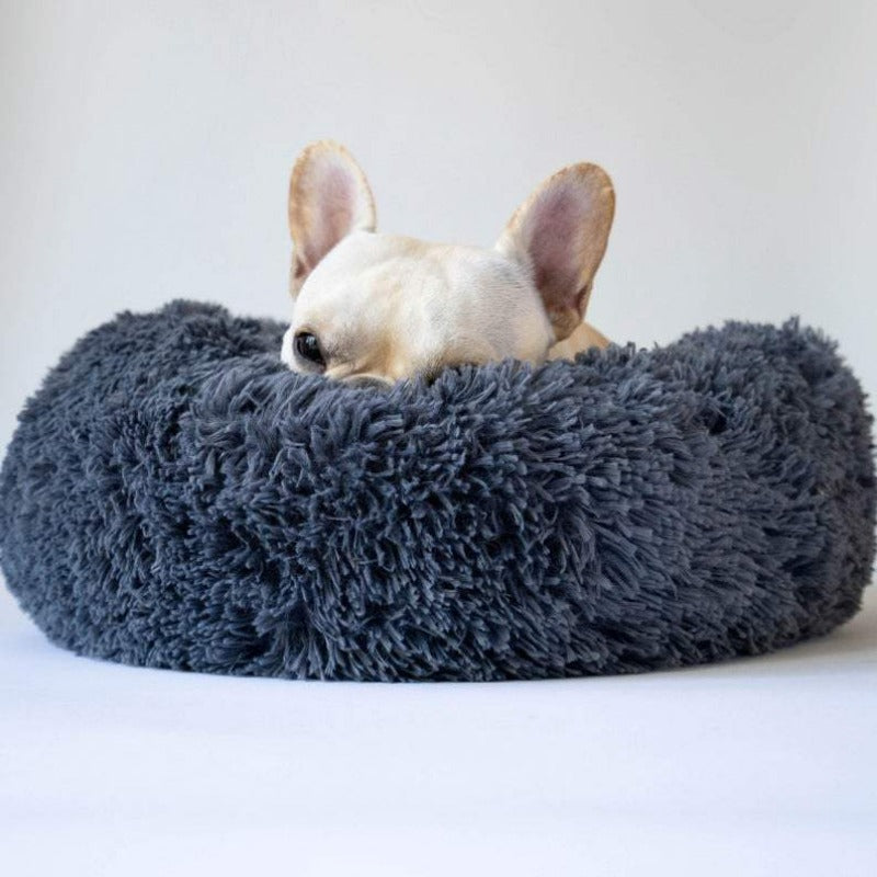 Ansicht: Donut Haustierbett aus Plüsch auf hellem Holzboden, ein Ruhepol für Tiere.
