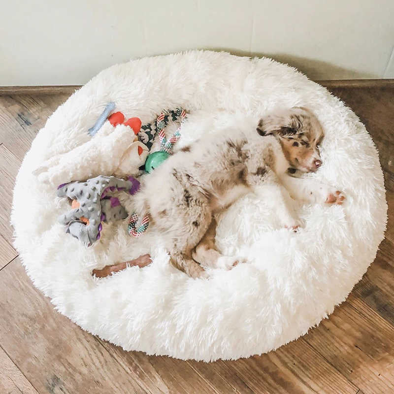 Weiches Donut Plüschbett für Katzen, beruhigt Ängste & fördert Wohlbefinden.