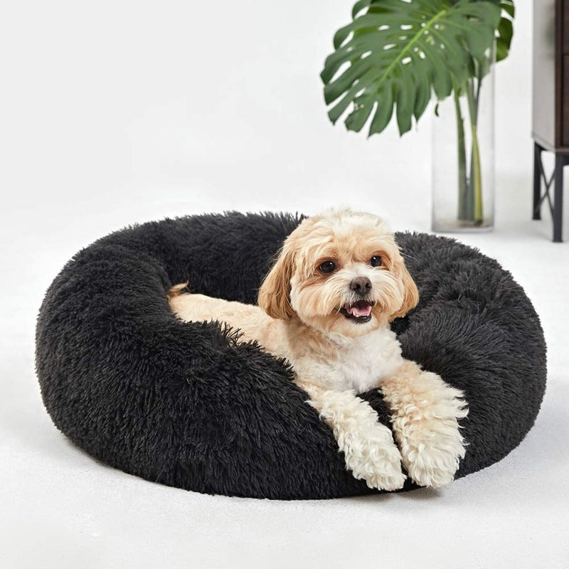 Einladendes Plüsch Donut Hundebett, perfekt zum Einkuscheln nach einem langen Tag.