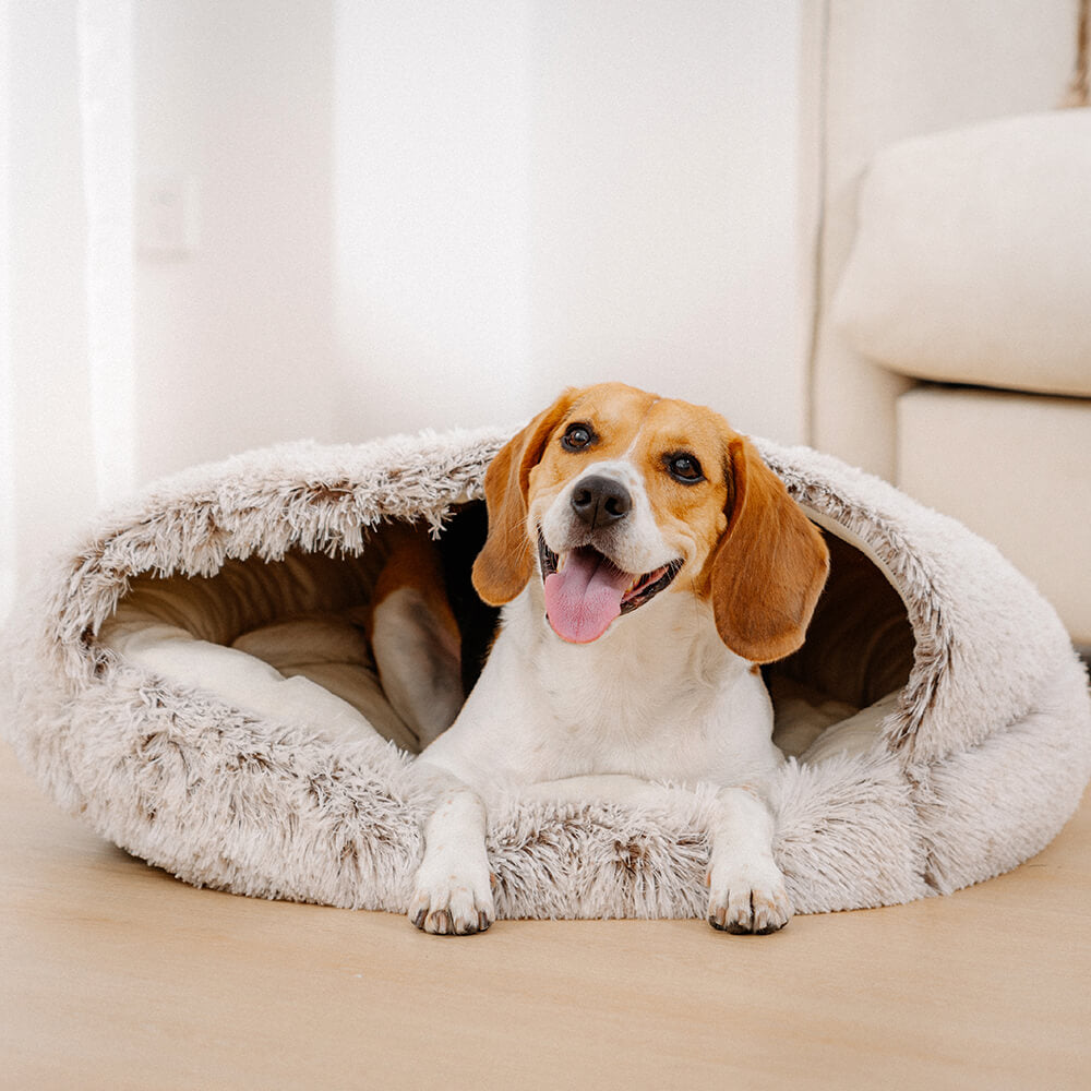 Hochwertiges, weiches Plüsch-Hundebett, ideal für Geborgenheit & Komfort von Hunden.