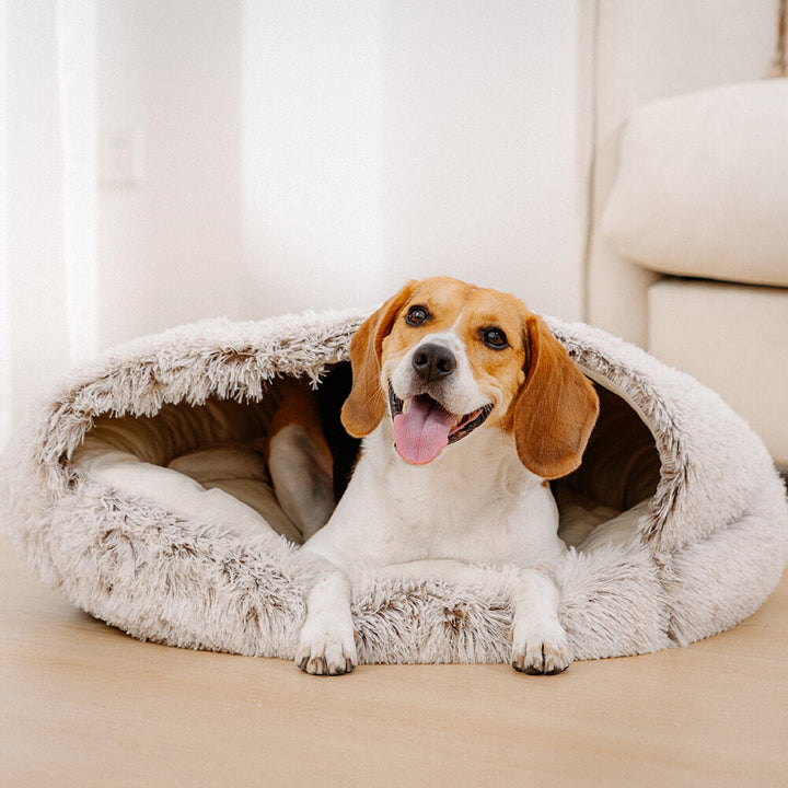 Hochwertiges, weiches Plüsch-Hundebett, ideal für Geborgenheit & Komfort von Hunden.