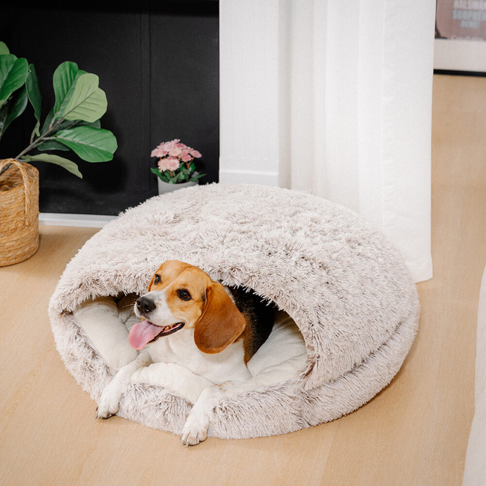 Anti-Rutsch Plüsch-Hundebett in schlichtem Design, stabil & sicher für Haustiere am Boden.
