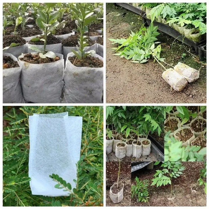 Biologisch abbaubarer Pflanzsack, atmungsaktiv, fördert gesundes Wurzelwachstum für Pflanzen im Garten.