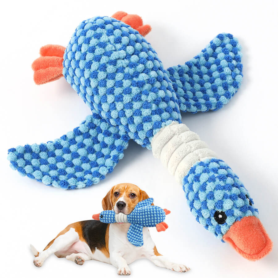 Detailaufnahme des bissfesten Vogel-Hundespielzeugs mit Quietscher; robustes Plüsch-Kau-Spielzeug.