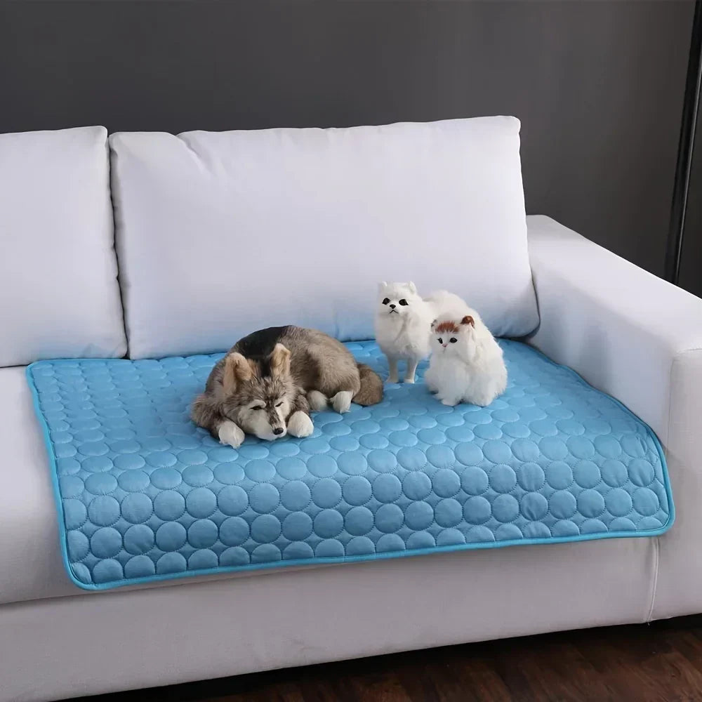 Blaue Haustier Kühlmatte für Hunde & Katzen, bietet sofortige Abkühlung im Sommer für Tierkomfort.