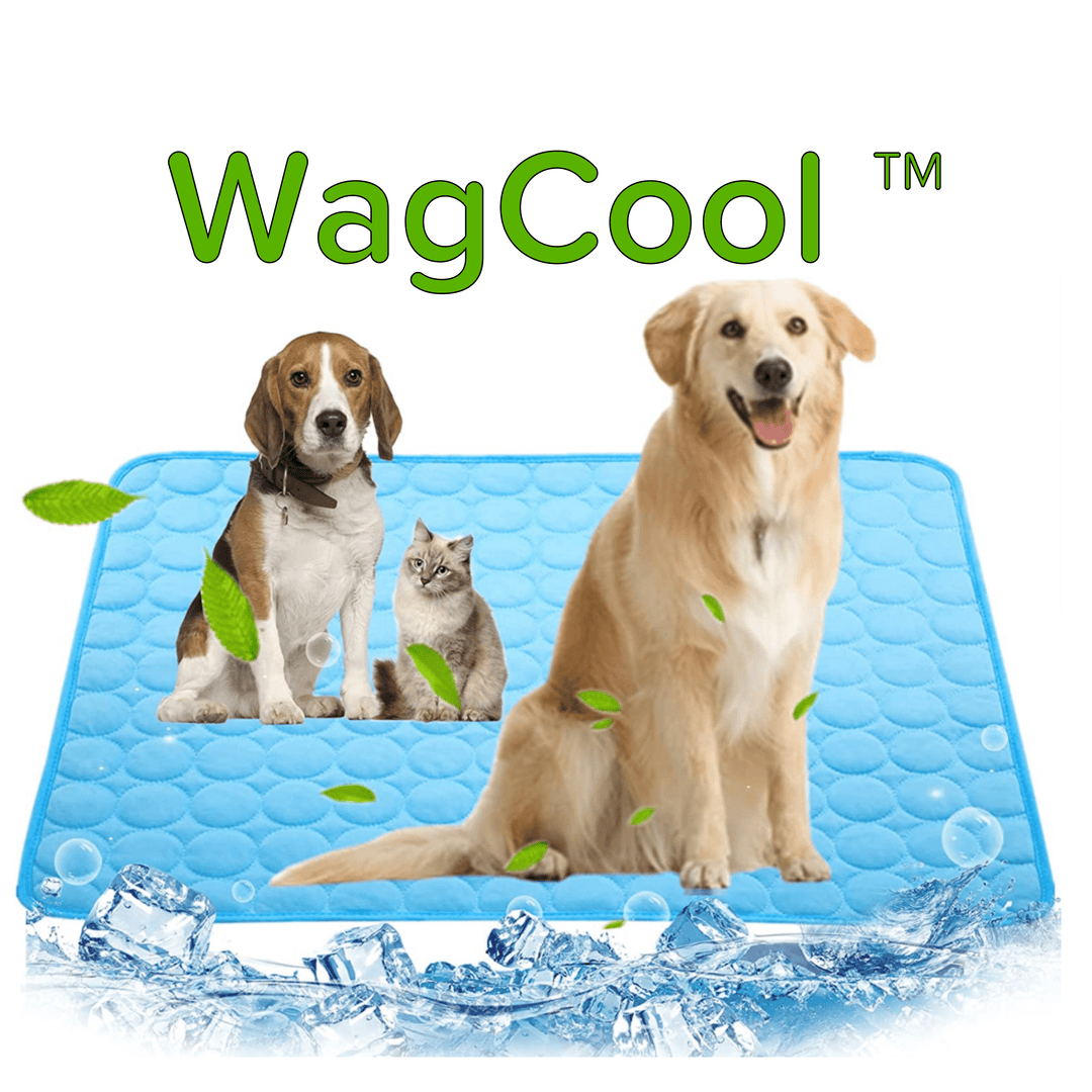 Blaue Hundekühlmatte für optimale Erfrischung an heißen Sommertagen. Ideal für Haustiere zur Abkühlung.