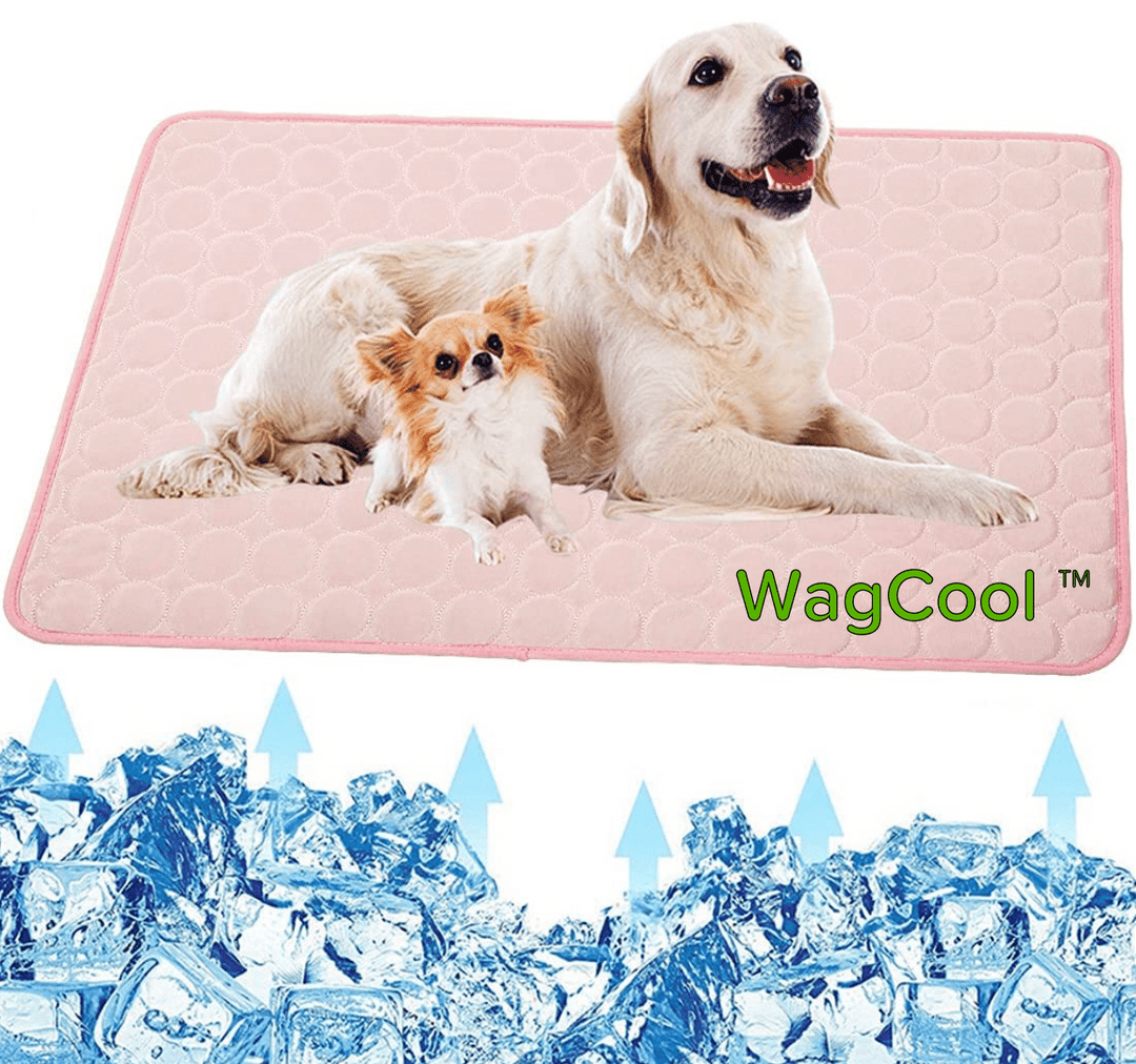 Haustier-Kühlmatte für Hunde und Katzen. Ideal als Hundezubehör und Katzenmatte zur Abkühlung im Sommer.