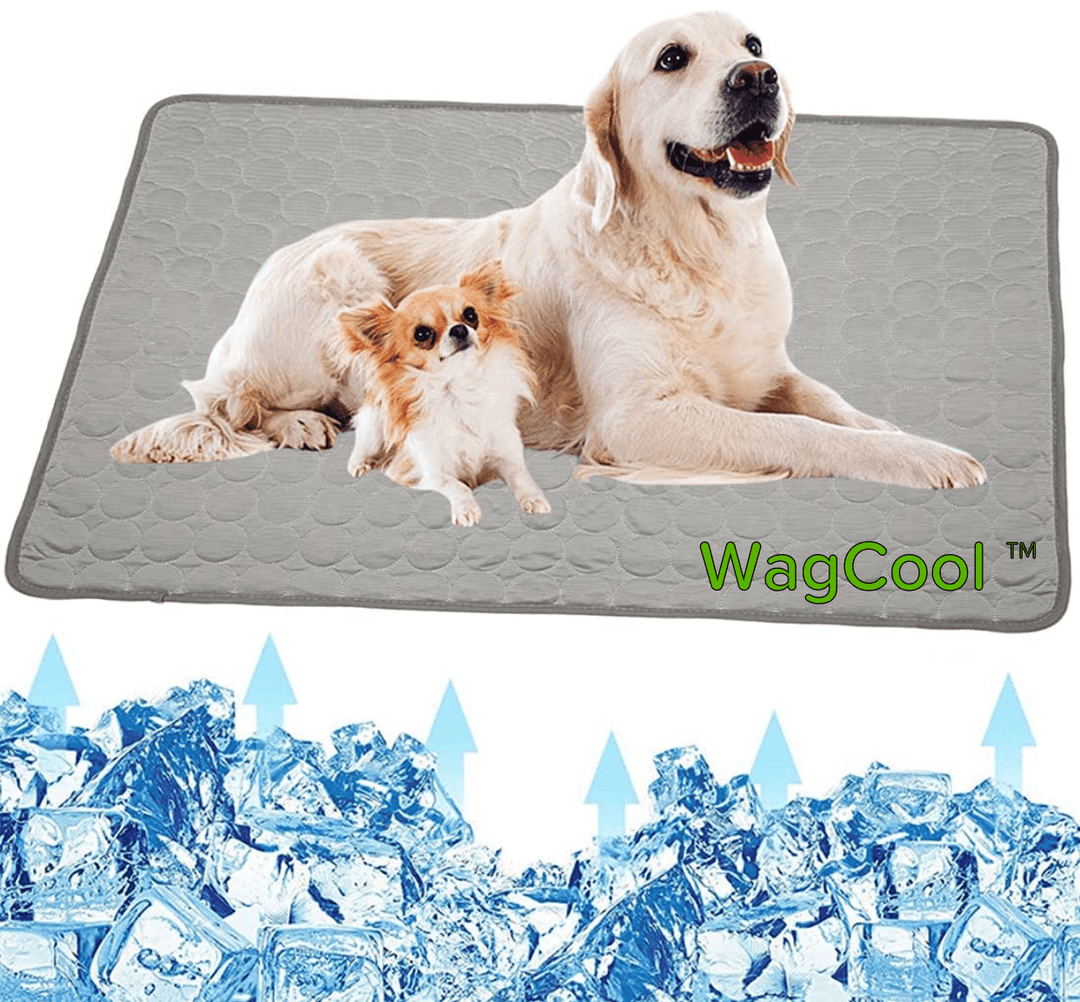 Kühlmatte, die Hunde vor Überhitzung schützt. Essentielles Hundezubehör für eine angenehme Abkühlung im Sommer.