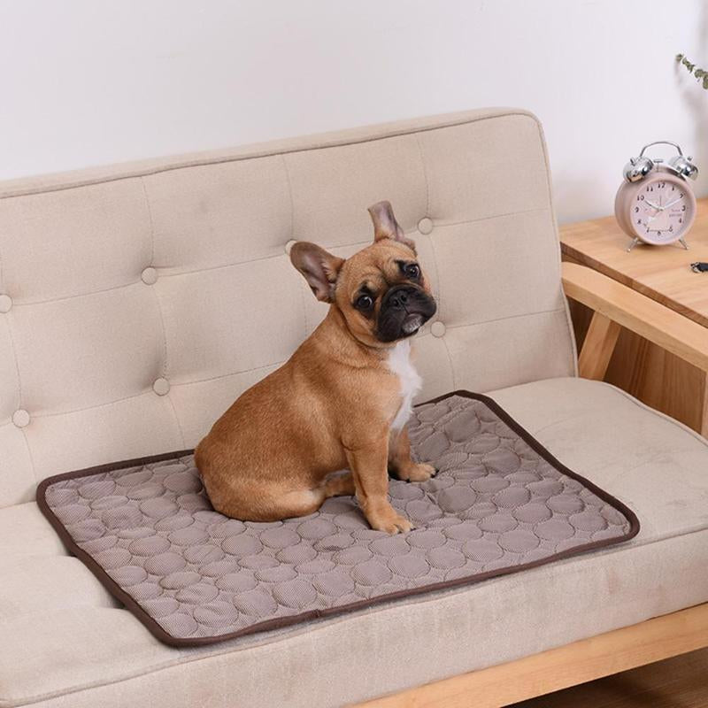 Blaue Kühlmatte für Hunde und Katzen, perfekt für sommerliche Abkühlung und Komfort.