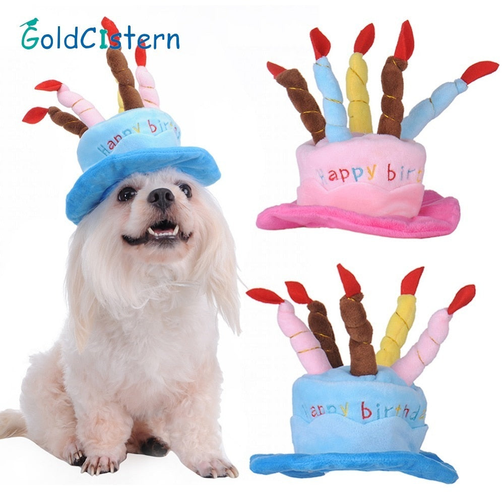 Blaue PartyPaws Geburtstagsmütze aus Fleece für Hunde & Katzen, ideal für jede Haustierparty.