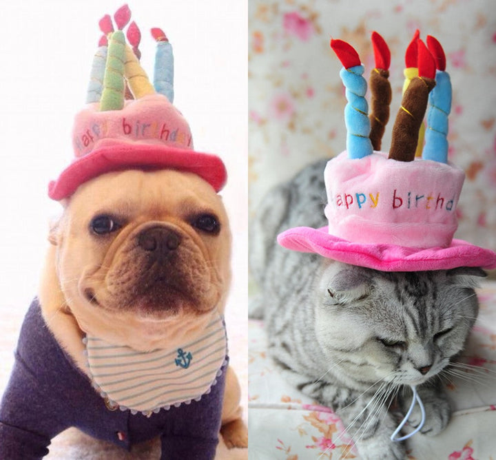 Rosa PartyPaws Geburtstagshut für Katzen & Hunde, weiches Fleece Tieraccessoire für den Tiergeburtstag.