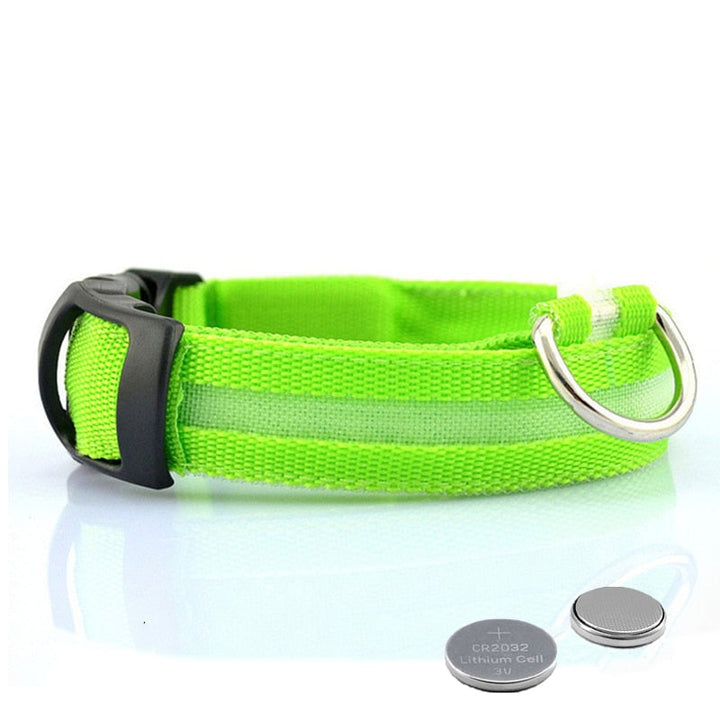 Innovatives LED-Hundehalsband für Haustiere, verbessert die Sichtbarkeit und schützt Ihren Hund im Dunkeln.