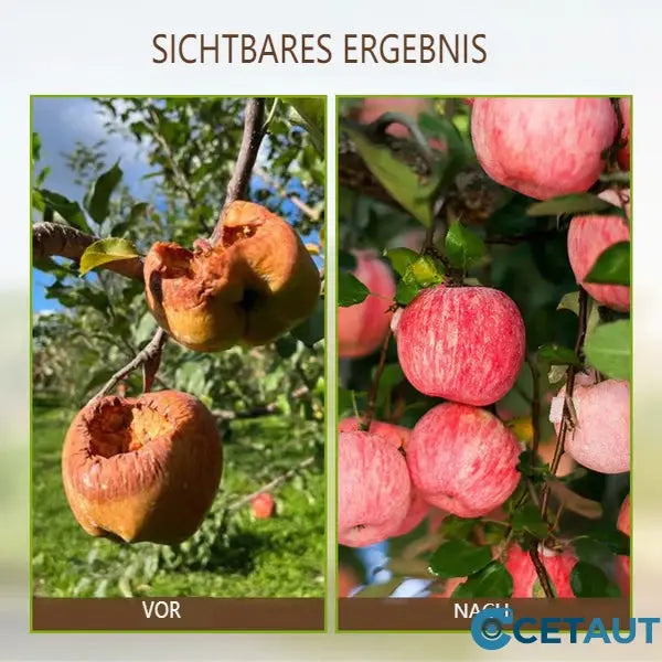 Gartenpflege mit Bio-Bodenaktivator: Für gesunde Erde und kräftige, vitale Pflanzen.
