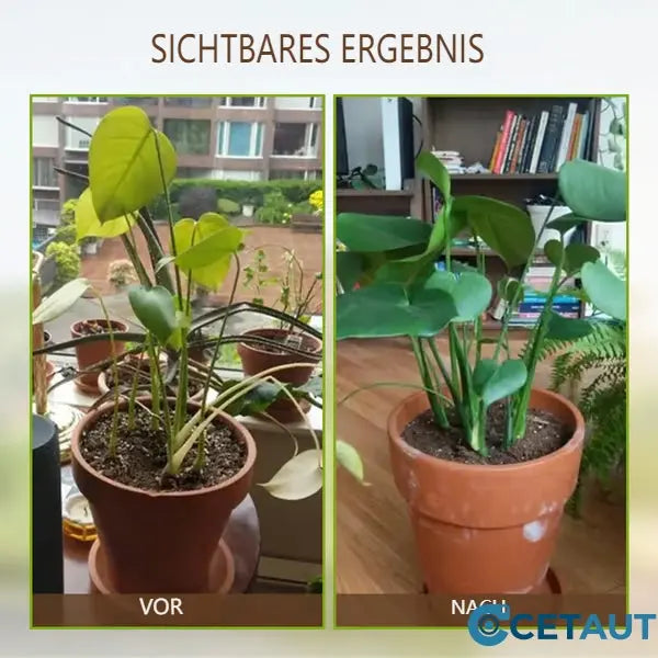 Pflanzenstärkung: Bodenaktivator für optimales Wachstum, Blütenpracht und grüne Pflanzen.