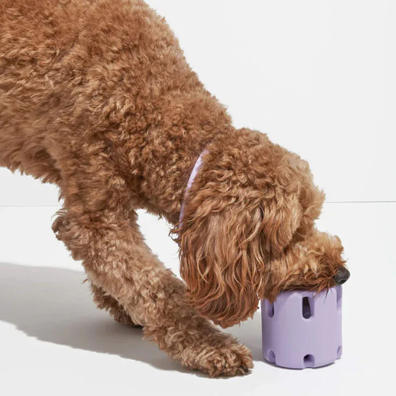 BounceChew Hundespielzeug zur interaktiven Zahnpflege. Ideal für gesunde Hundezähne.