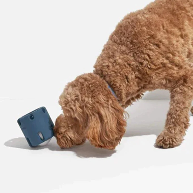 Spiel- und Zahnpflege-Spielzeug BounceChew für Hunde. Interaktiv, langlebig und zahngesund.