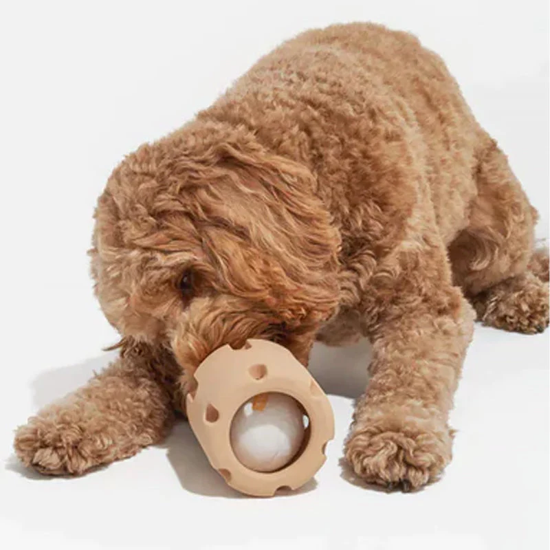 BounceChew Hundespielzeug für Haustiere: Gebissreinigend, interaktiv & fördert Aktivität.