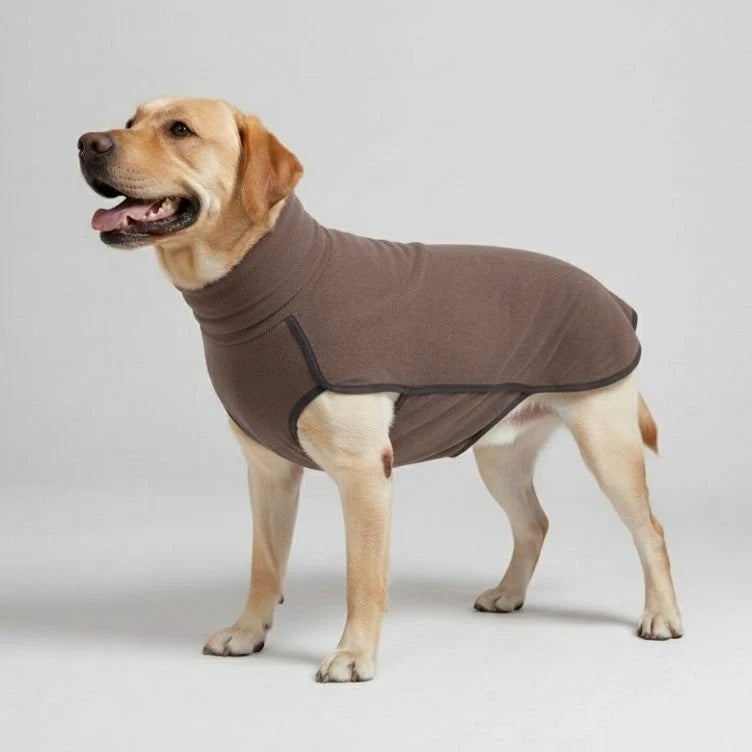Brauner winddichter Hundemantel für große Hunde, wasserabweisend, ideal für Outdoor-Winterspaziergänge.