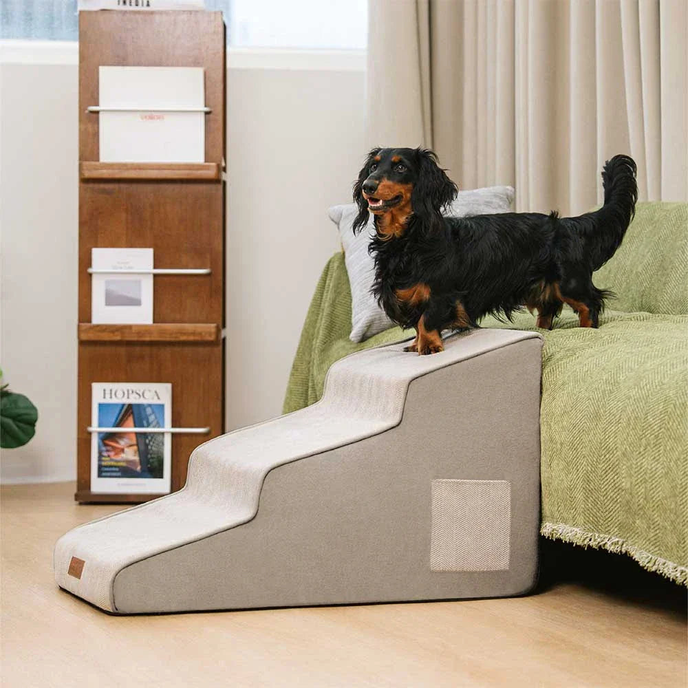 Komfortable Chenille-Rampe für Hunde & Katzen, gelenkschonend & mit rutschfester Oberfläche.