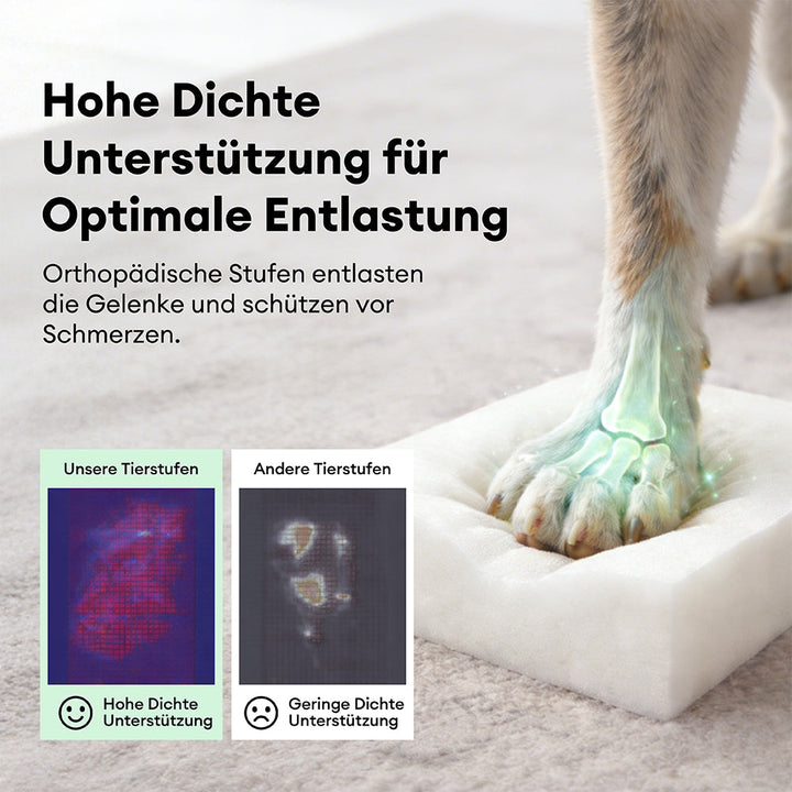 Weiche, breite Chenille Hundetreppe mit abnehmbarem, waschbarem Bezug für einfache Pflege.