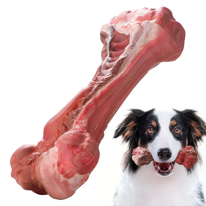 BuddyChew Zahnbürste für Hunde: Robustes Gummi-Spielzeug zur Plaque- & Zahnsteinreduktion.