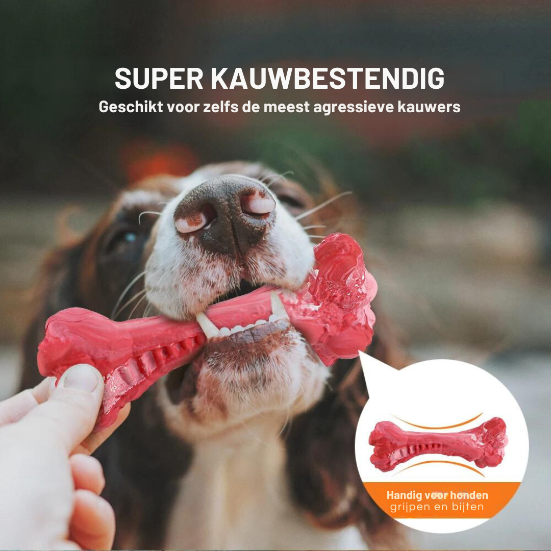BuddyChew: Die intelligente Hundezahnbürste für glückliche Vierbeiner & strahlende Zähne.