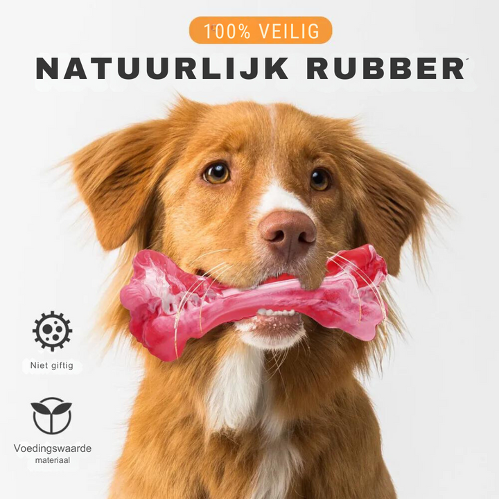 BuddyChew Gummi-Hundespielzeug mit integriertem Quietscher, perfekt für aktive Zahnpflege-Stunden.