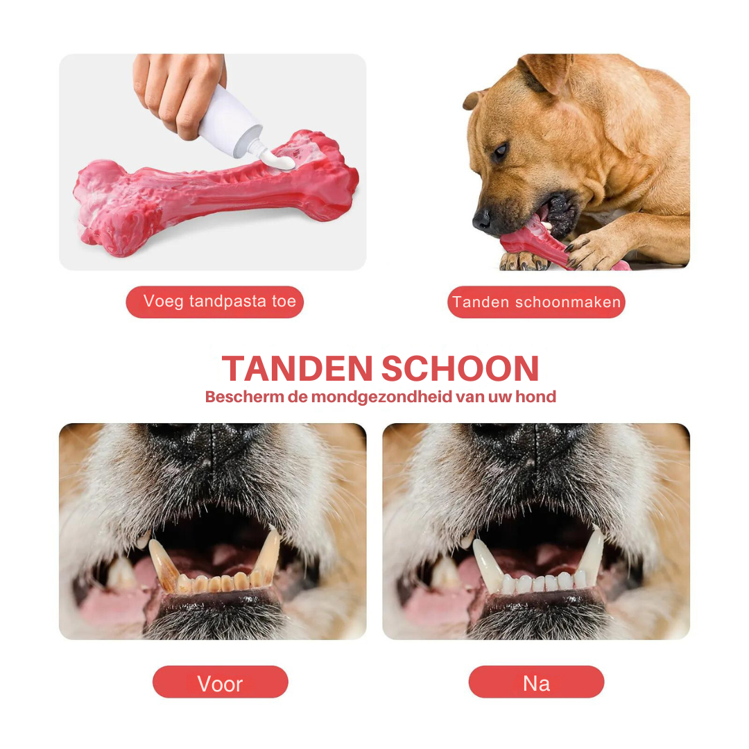 BuddyChew: Das vielseitige Kauspielzeug für Hunde – Zahnpflege, Spiel & Freude in einem Produkt.