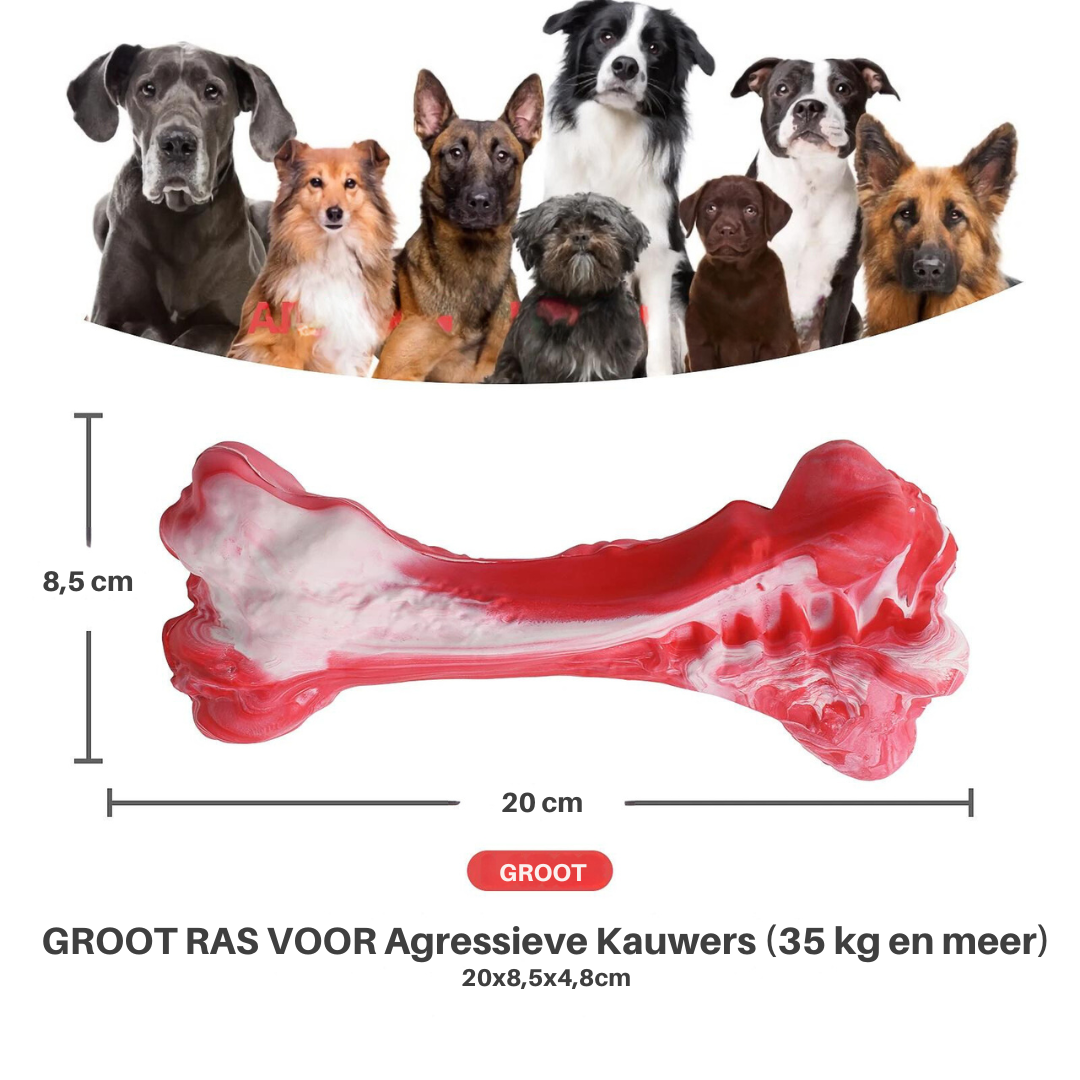 Für gesundes Zahnfleisch & saubere Zähne: BuddyChew, das innovative Hundezahnbürsten-Spielzeug.