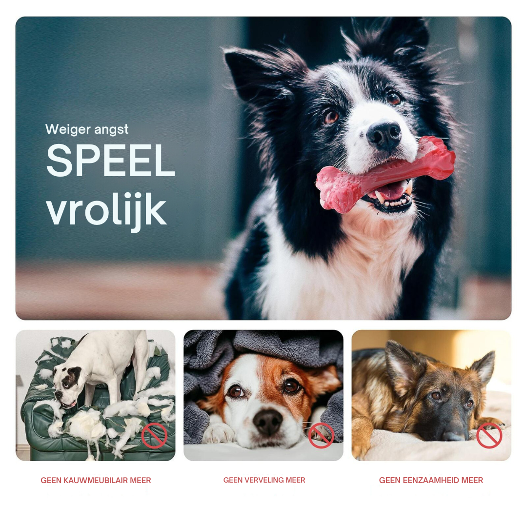 Quietschendes BuddyChew Hundespielzeug aus Gummi, ideal für Zahnpflege & aktives Spielen.