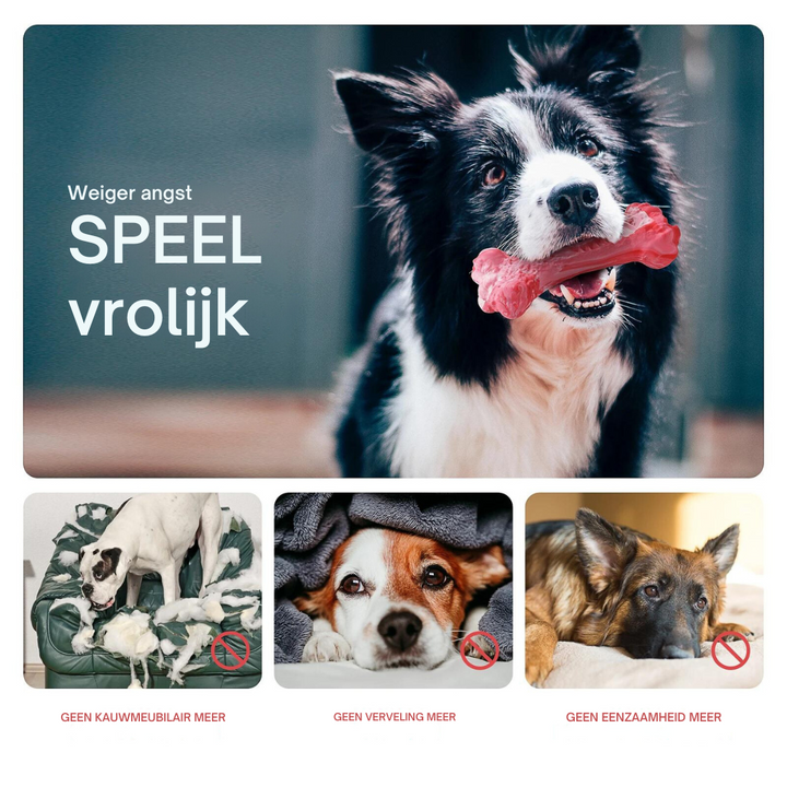 Quietschendes BuddyChew Hundespielzeug aus Gummi, ideal für Zahnpflege & aktives Spielen.