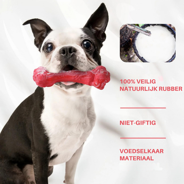 BuddyChew: Die innovative Zahnbürste für Hunde, ein interaktives Kauspielzeug für frischen Atem.