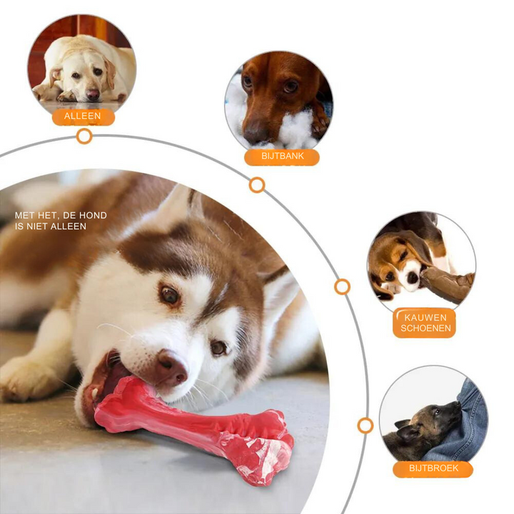 BuddyChew Gummi-Zahnbürste für Hunde, tägliche Zahnpflege & anhaltendes Spielvergnügen garantiert.