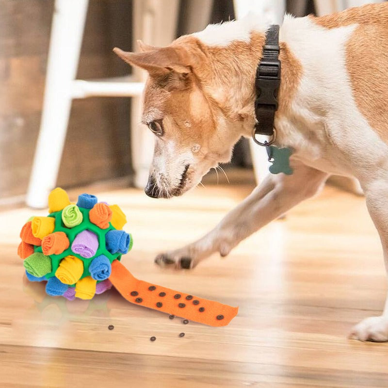 Bunter Hund Schnüffelball aus weichem Stoff für geistige Auslastung und Leckerli-Suche.