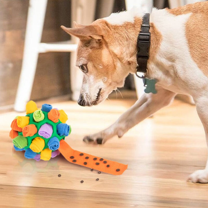Bunter Hund Schnüffelball aus weichem Stoff für geistige Auslastung und Leckerli-Suche.