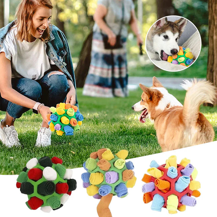 Geistig anregendes Hundespielzeug: Ein Schnüffelball mit vielen Verstecken für Leckerlis, ideal gegen Langeweile.