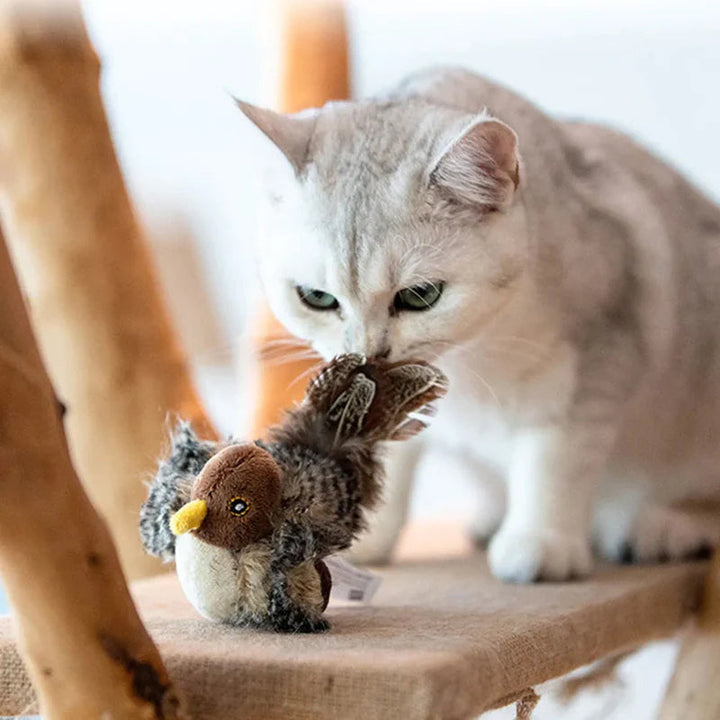 ChirpBird interaktives Katzenspielzeug mit realistischen Vogelgeräuschen für Jagdinstinkt.