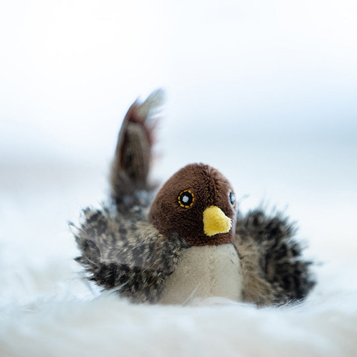 Realistische Vogelgeräusche des ChirpBird Spielzeugs fesseln die Aufmerksamkeit jeder Katze.