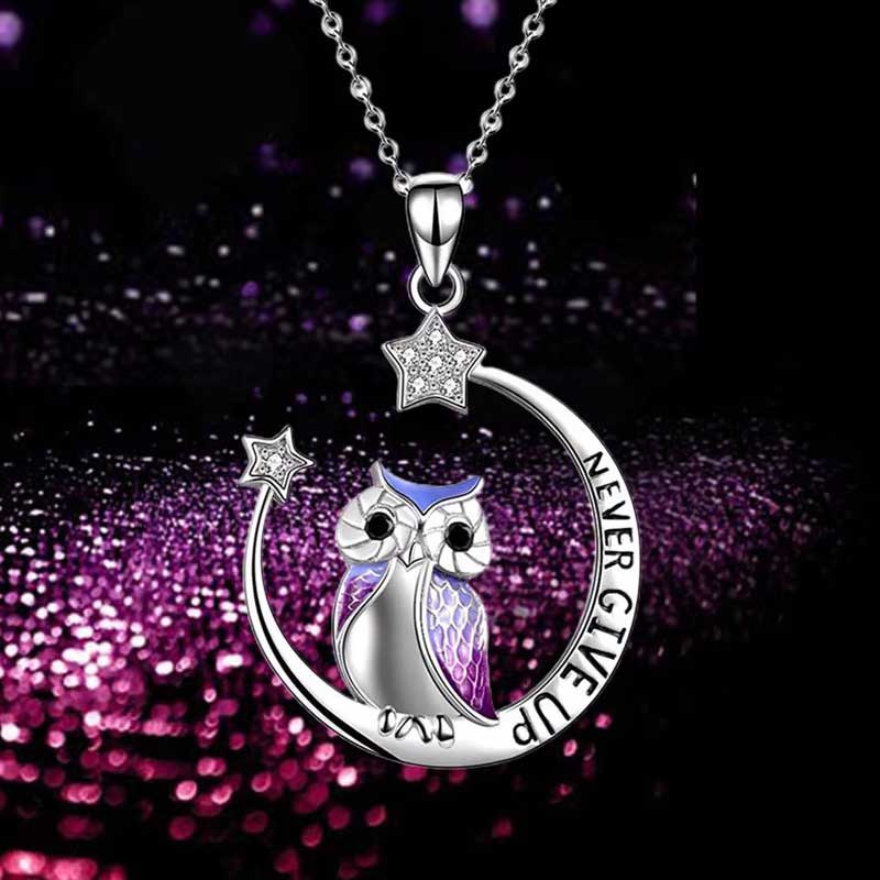 Damen Eulenkette silberfarben mit 'Niemals aufgeben' Gravur. Symbol für Weisheit & Mut.