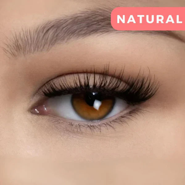 Voluminöse magnetische Wimpern für Damen Make-up, einfache Anwendung ohne Kleber, sofortiger Effekt.