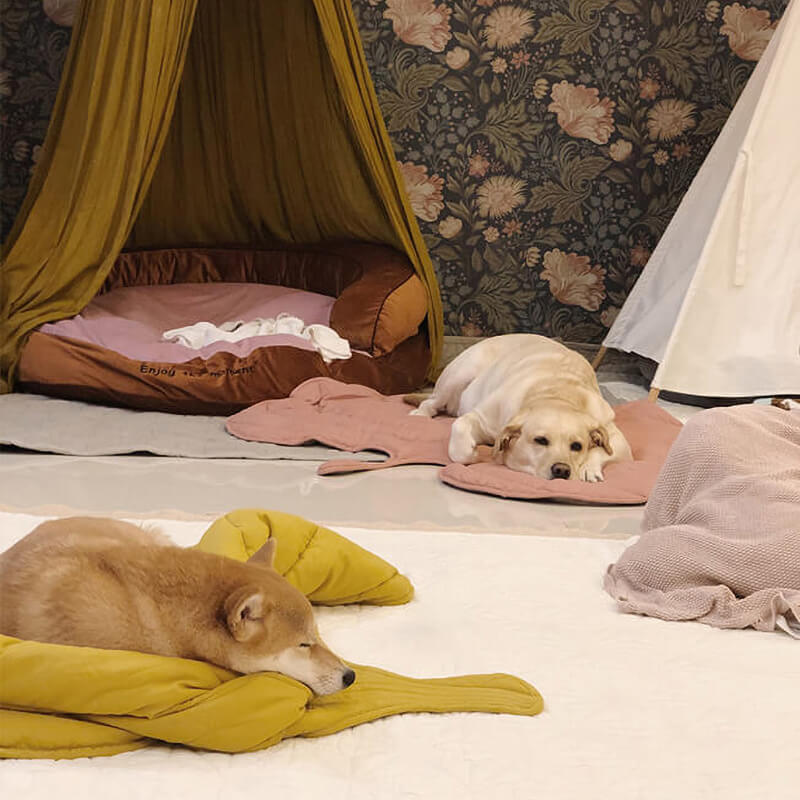 Stilvolle Blattform Hundedecke für Hunde und Katzen, ein echtes Wohnaccessoire.