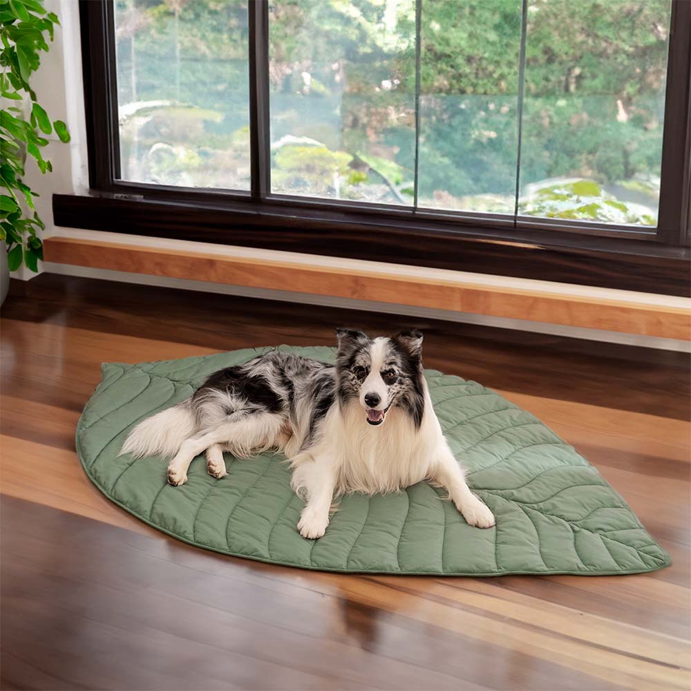 Einzigartiges Blatt-Design: Weiche, waschbare Hundedecke für stilbewusste Halter.