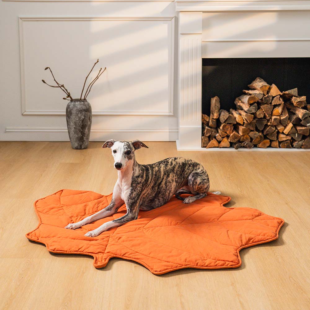 Dekoratives Hundebett als Blatt geformt, ideal für ein stilvolles Interieur.