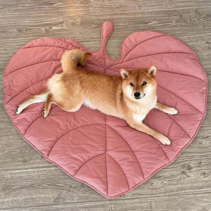Kuschelige Hundedecke mit dekorativem Blatt-Design, für entspannte Momente.