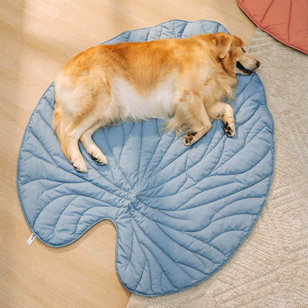 Dekorative Hundedecke im Blatt-Look, fügt jedem Raum Gemütlichkeit hinzu.